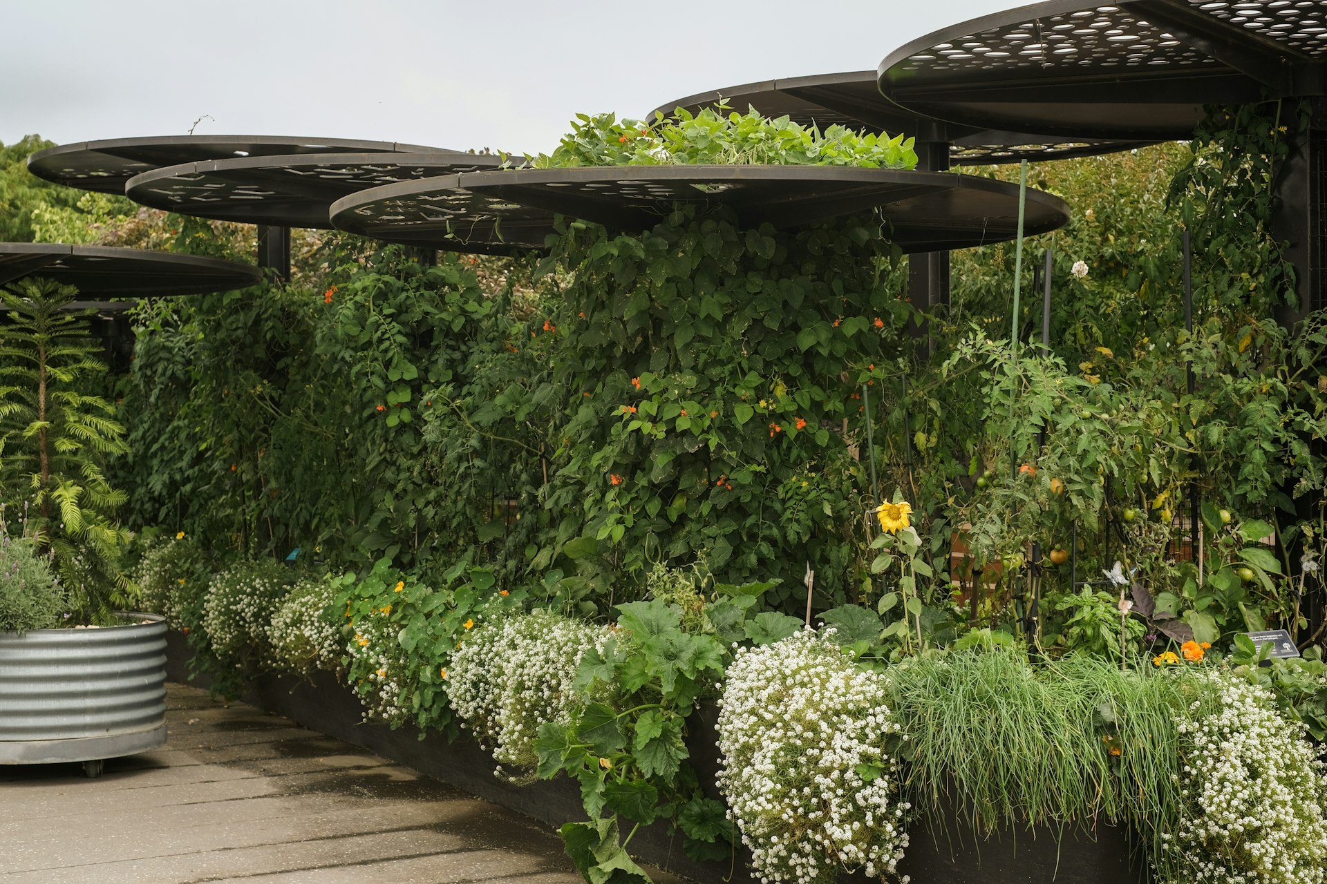 Pergola con piante e vasi