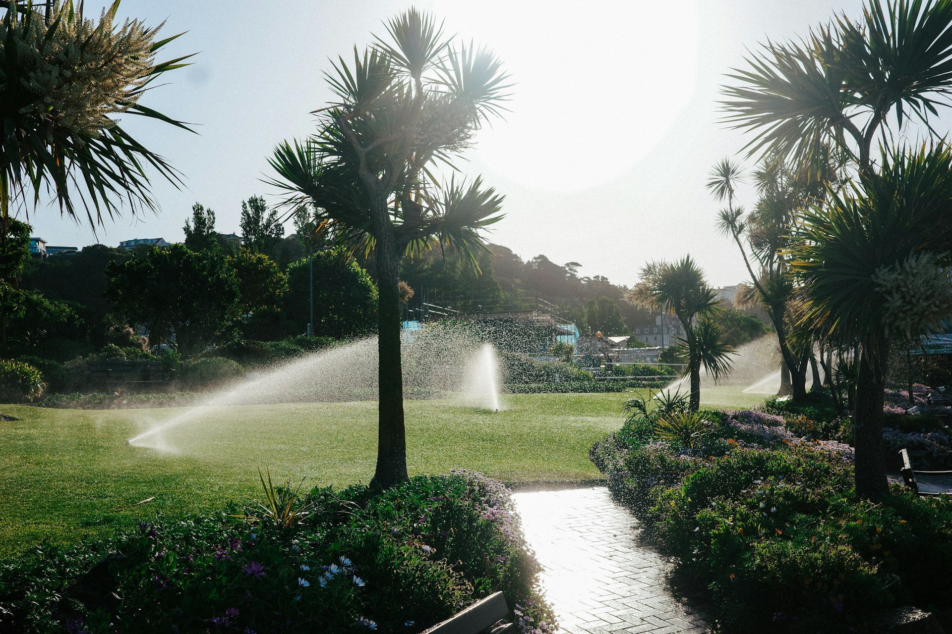 Irrigatore in un giardino con palme