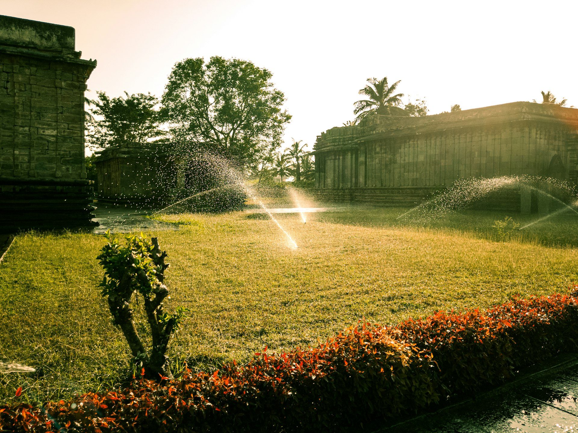 Irrigatori in funzione su un prato all’alba