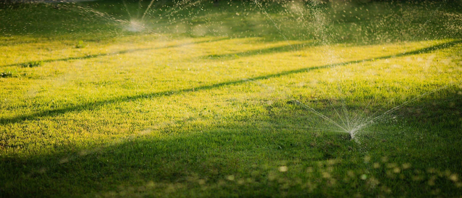 Prato irrigato al sole
