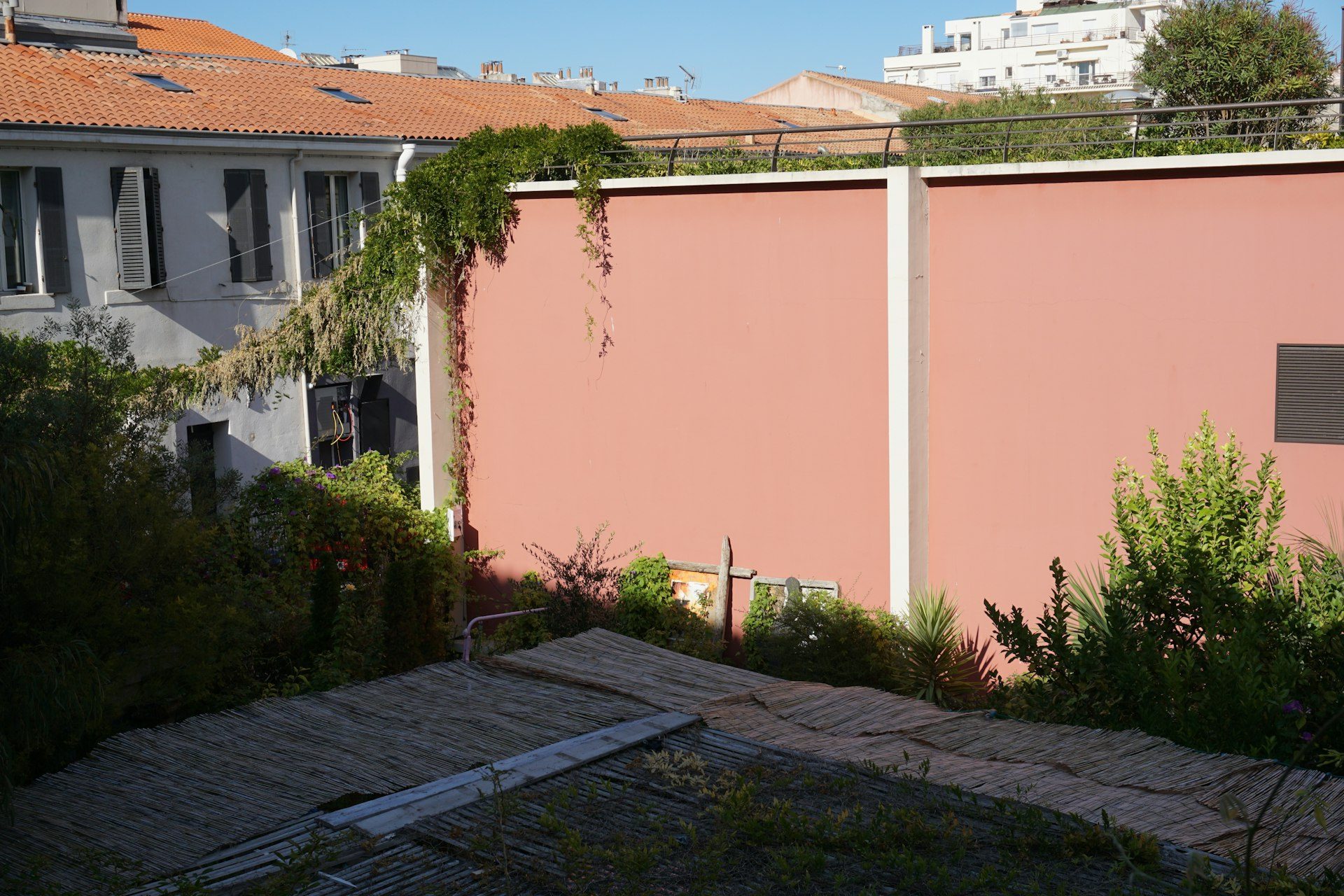 Cortile con muro rosa e piante