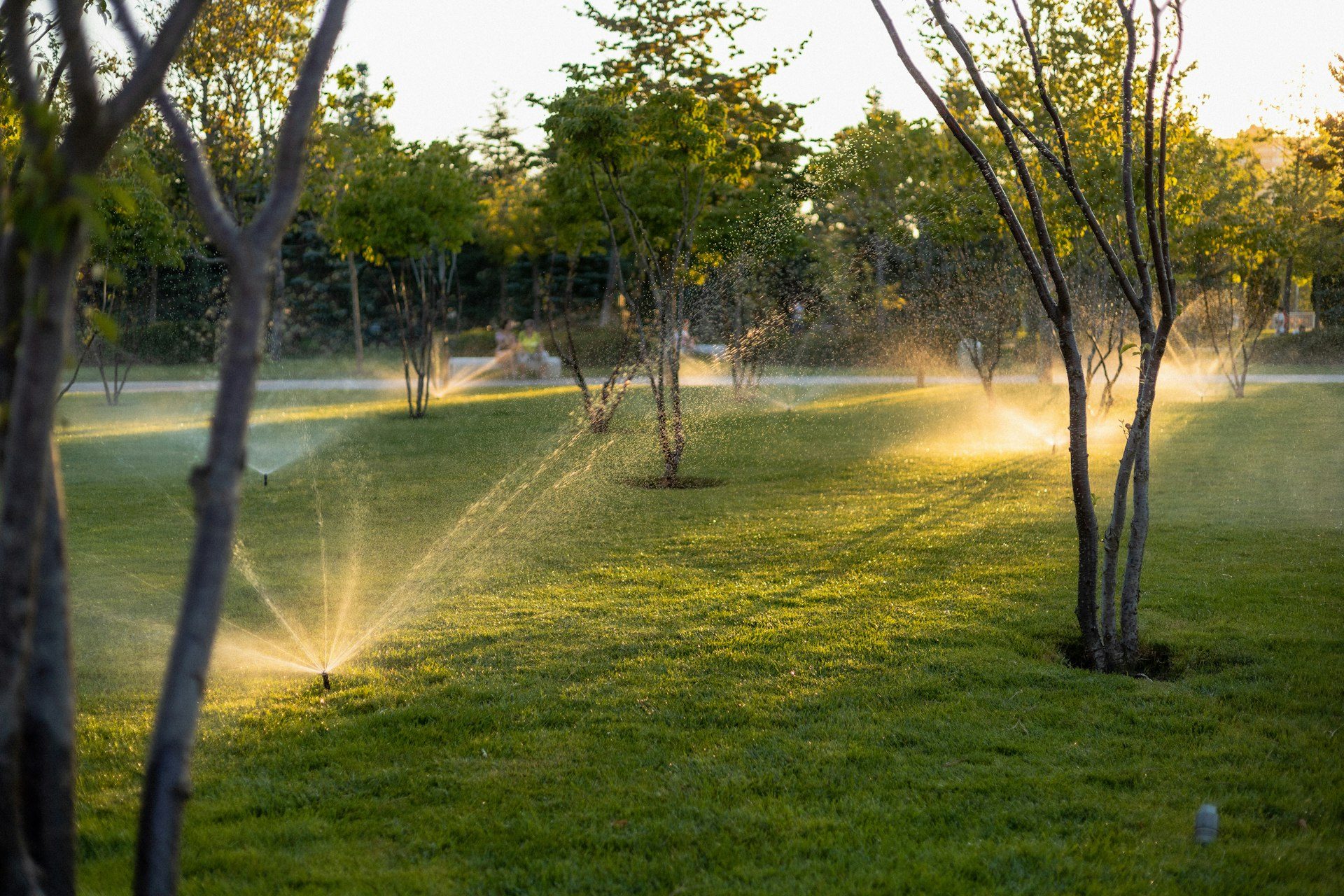 Irrigatori che bagnano un prato al tramonto